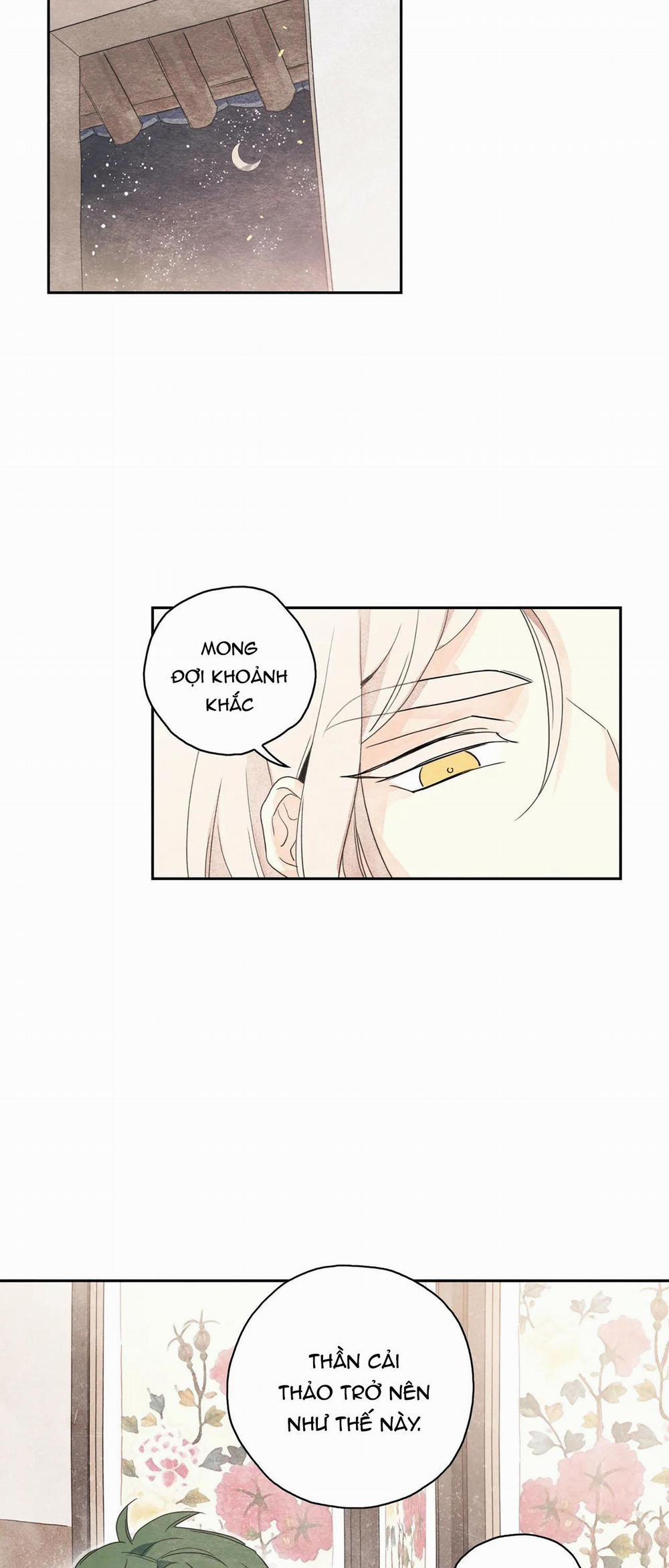 Vườn rau 1 trang 19