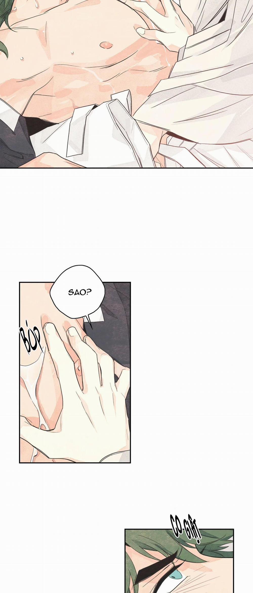 Vườn rau 1 trang 23