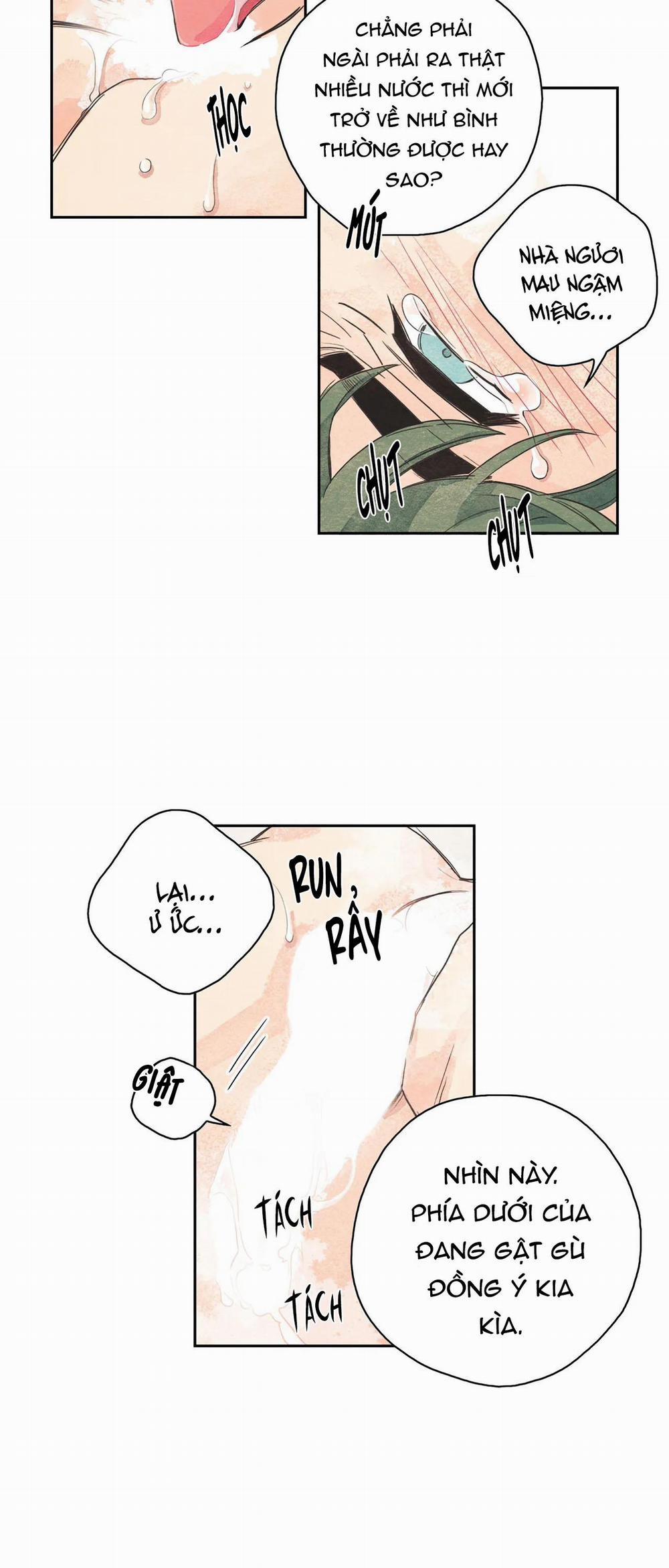 Vườn rau 1 trang 32