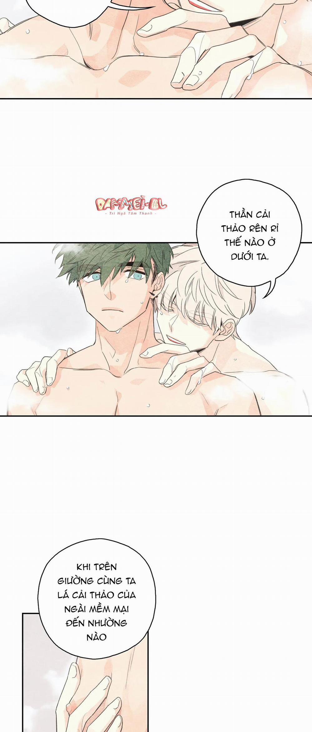 Vườn rau 3 trang 13