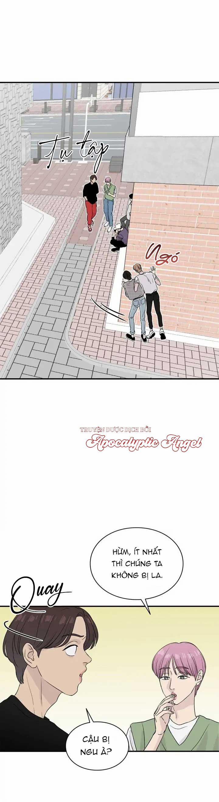 Vươn Tới Những Vì Sao 4 trang 21