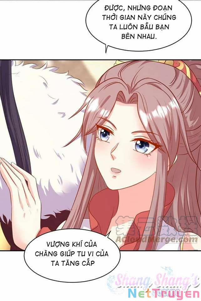 Vương Gia Khắc Thê 118 trang 11