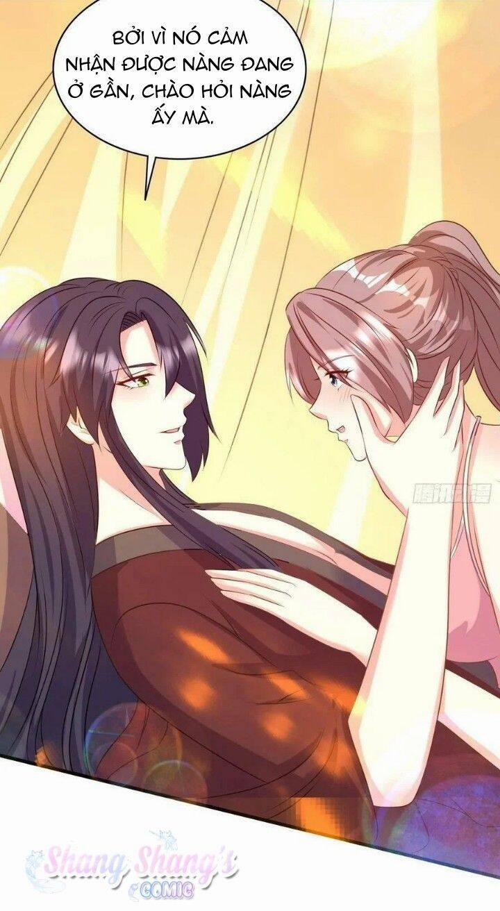 Vương Gia Khắc Thê 147 trang 14