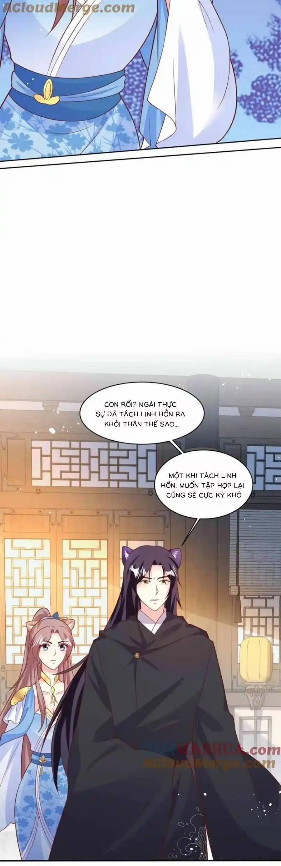 Vương Gia Khắc Thê 233 trang 6