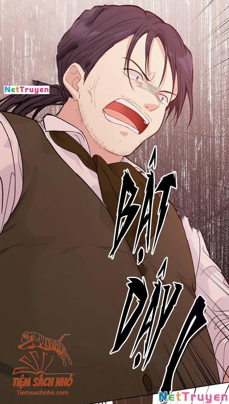 Vương Miện Viridescent 56 trang 24