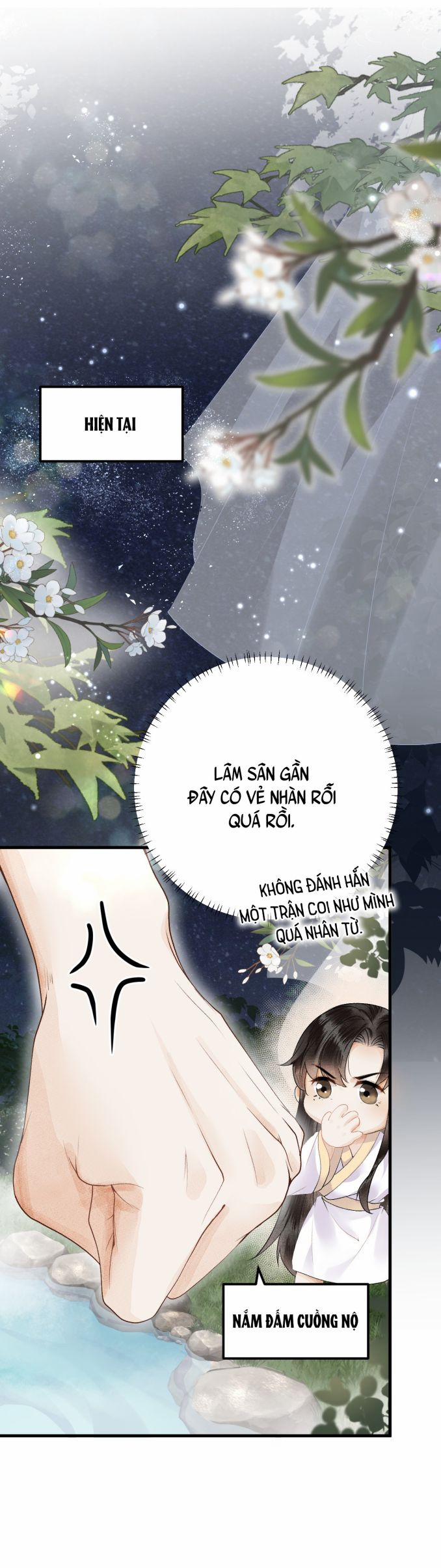 Vương Phi Này Là Nam Nhân 13 trang 12