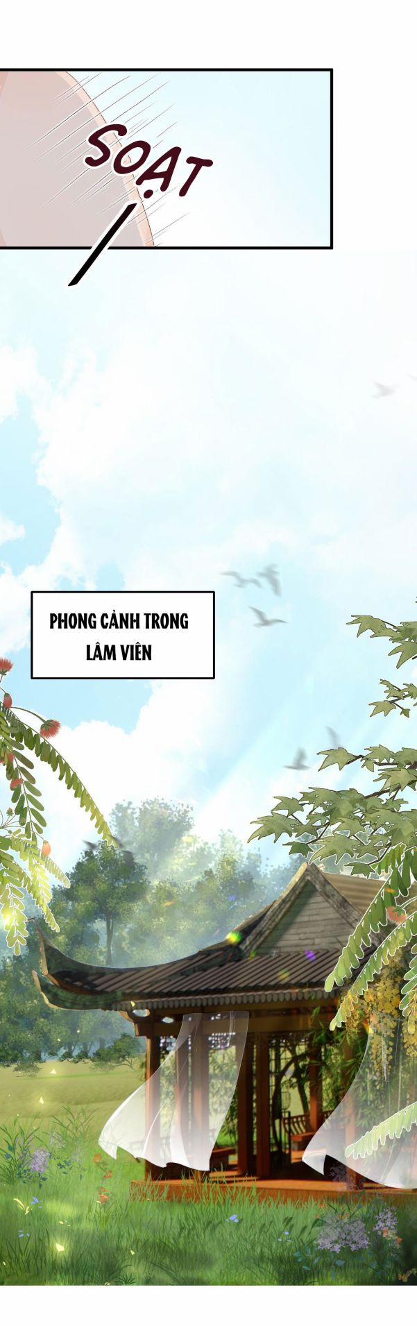 Vương Phi Này Là Nam Nhân 14 trang 19