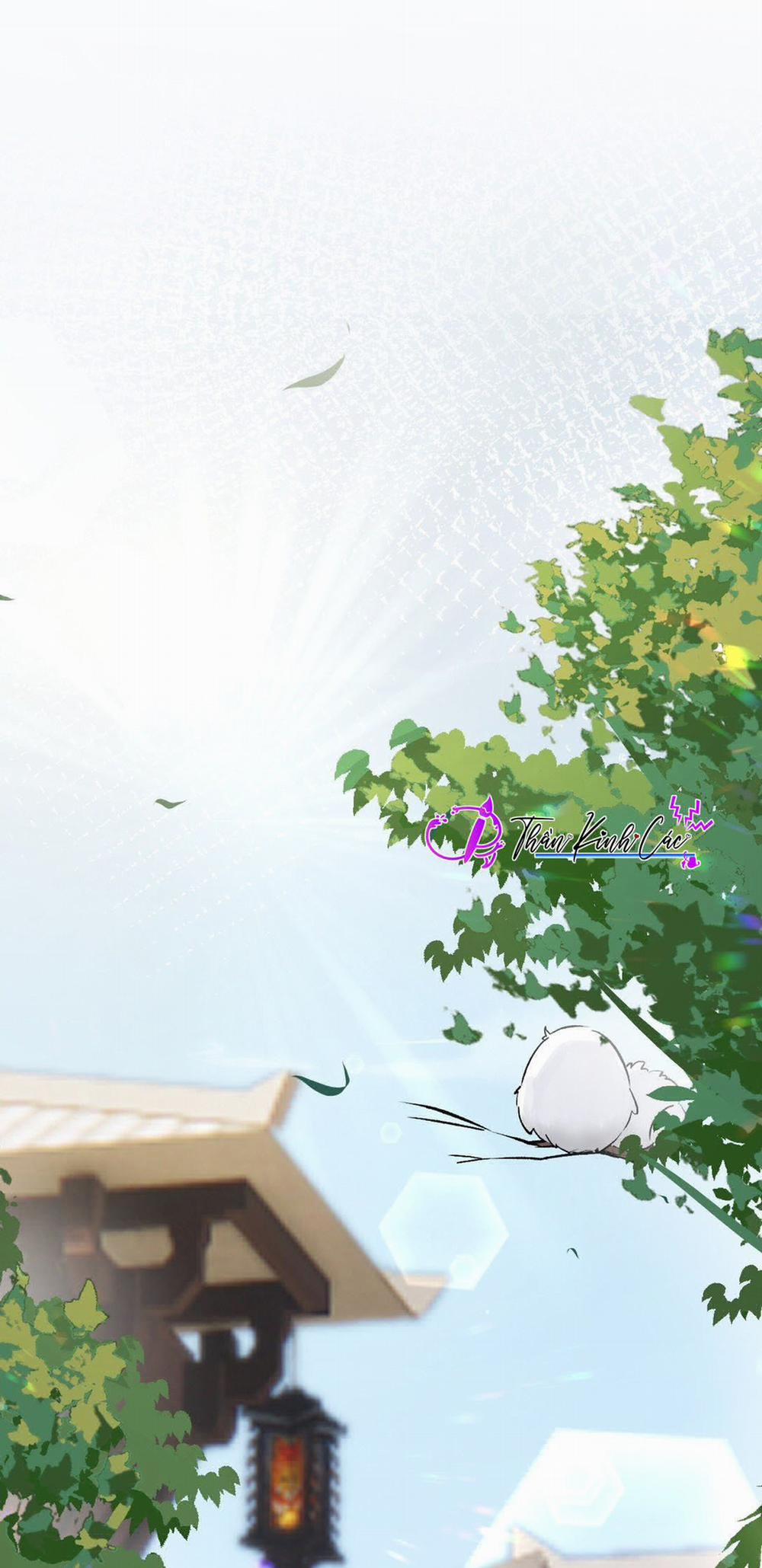 Vương Phi Này Là Nam Nhân 2 trang 1