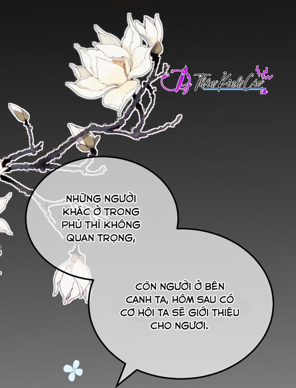 Vương Phi Này Là Nam Nhân 2 trang 11