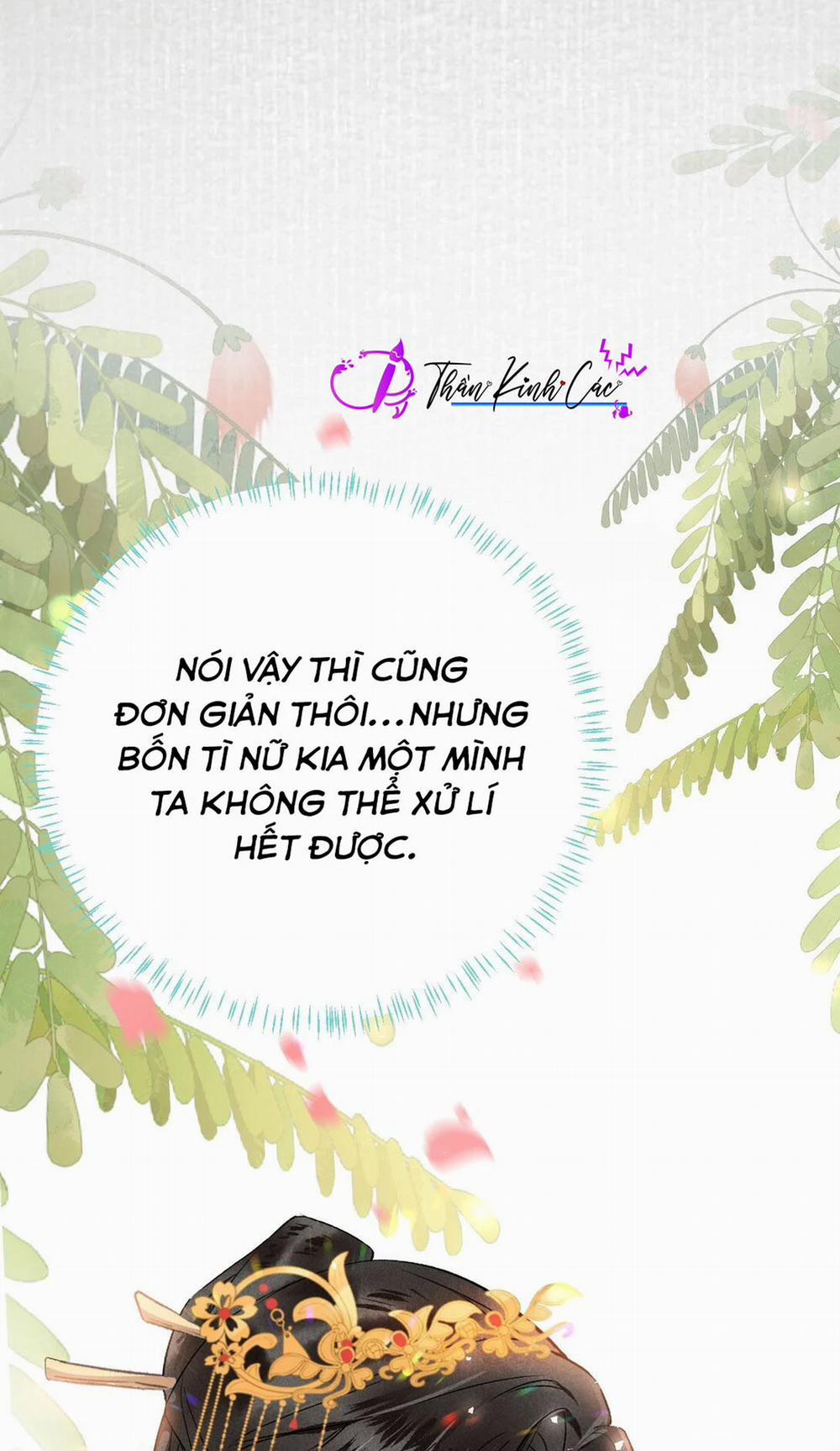 Vương Phi Này Là Nam Nhân 2 trang 13