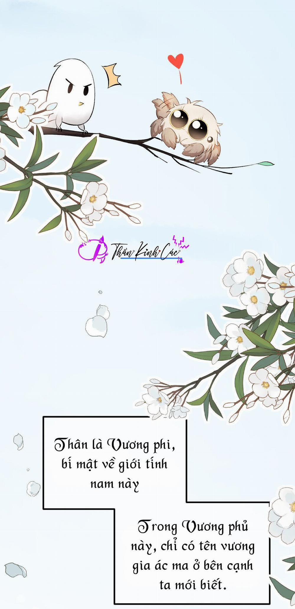 Vương Phi Này Là Nam Nhân 2 trang 21