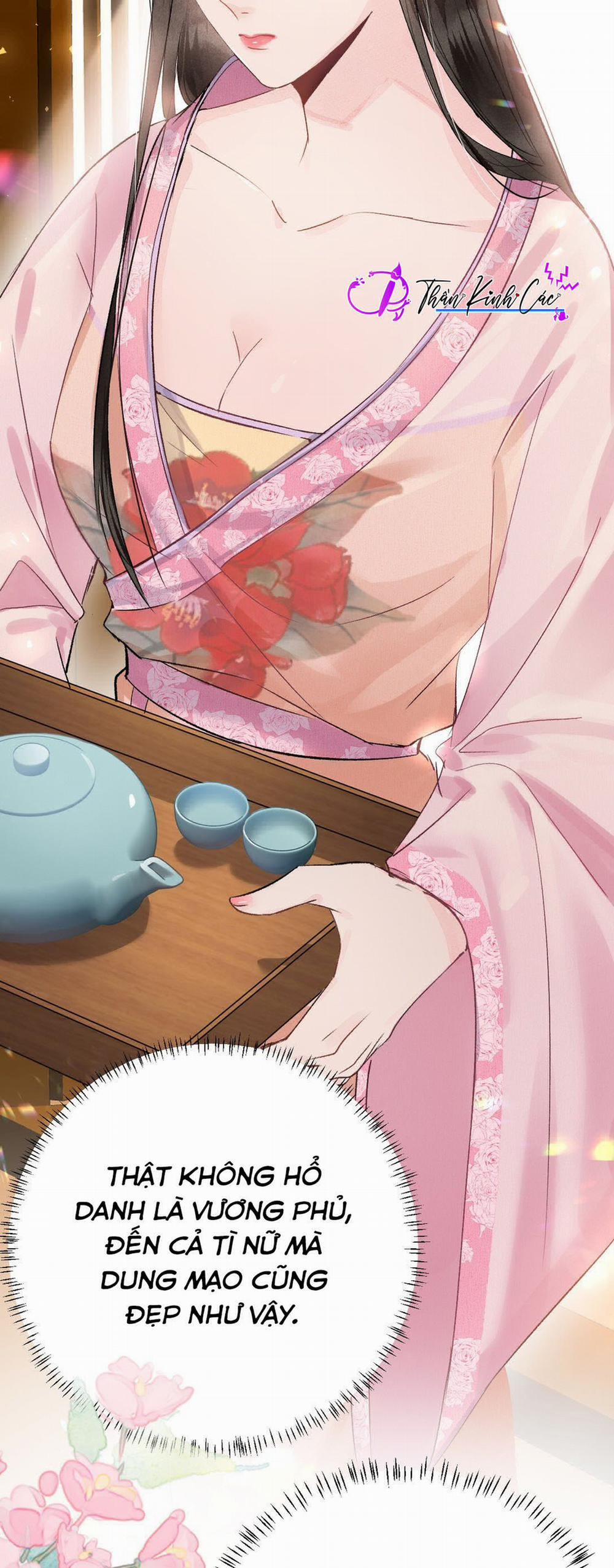 Vương Phi Này Là Nam Nhân 2 trang 28