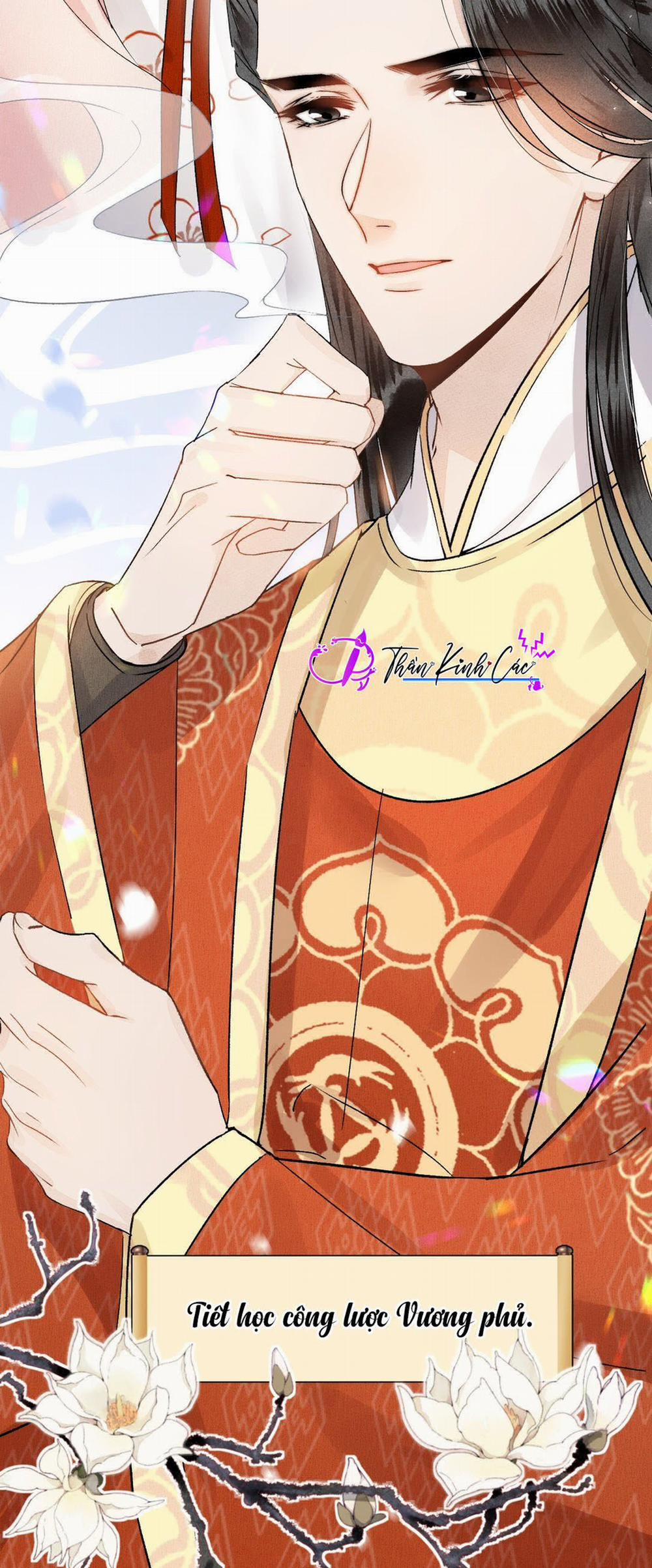 Vương Phi Này Là Nam Nhân 2 trang 6