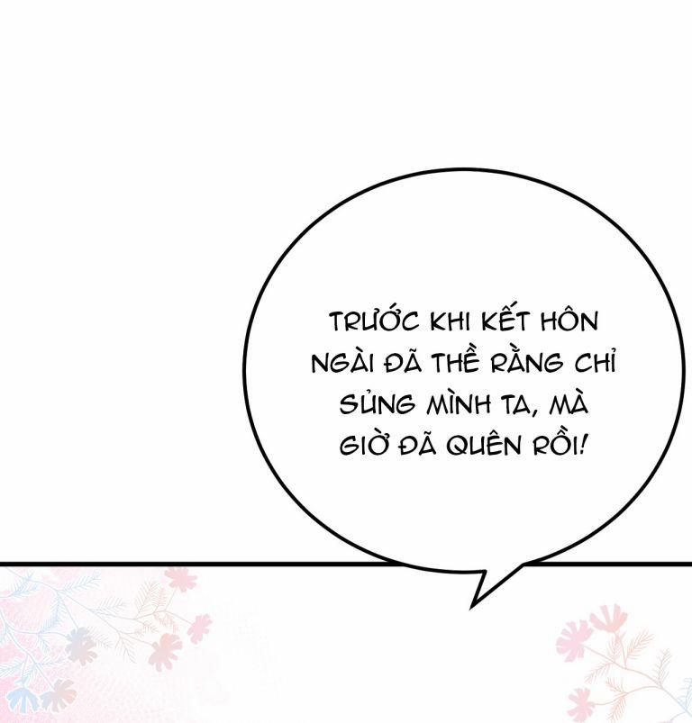 Vương Phi Này Là Nam Nhân 21 trang 17