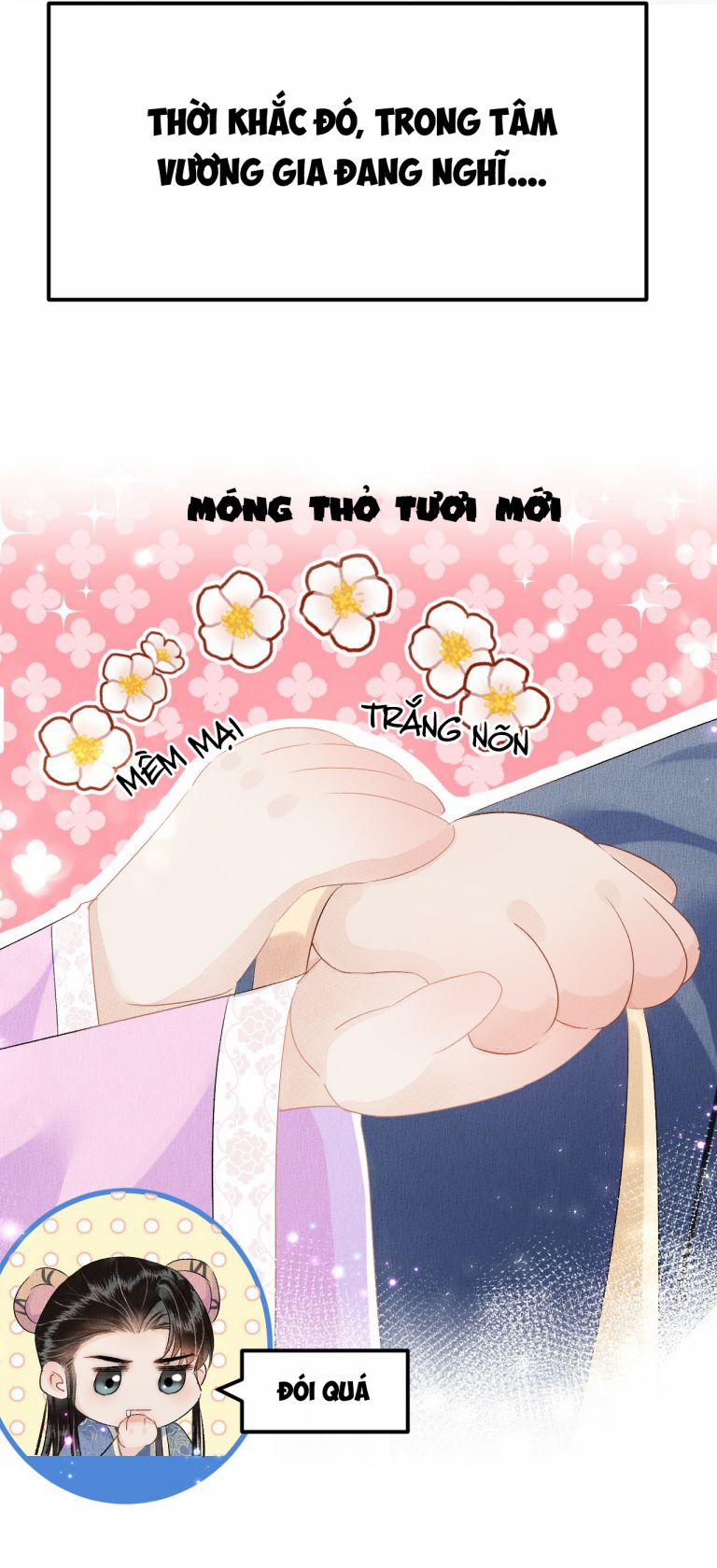 Vương Phi Này Là Nam Nhân 21 trang 41