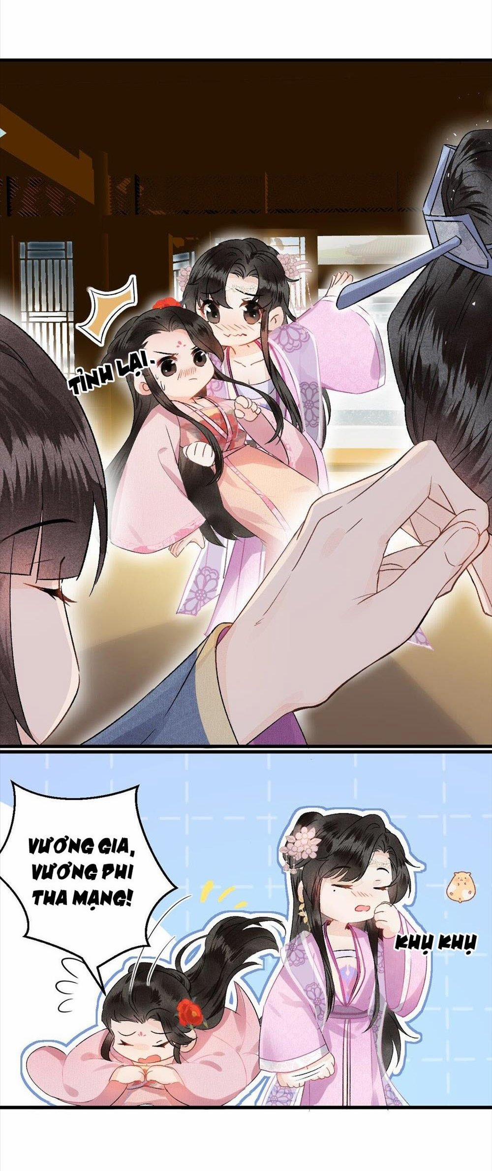 Vương Phi Này Là Nam Nhân 3 trang 12