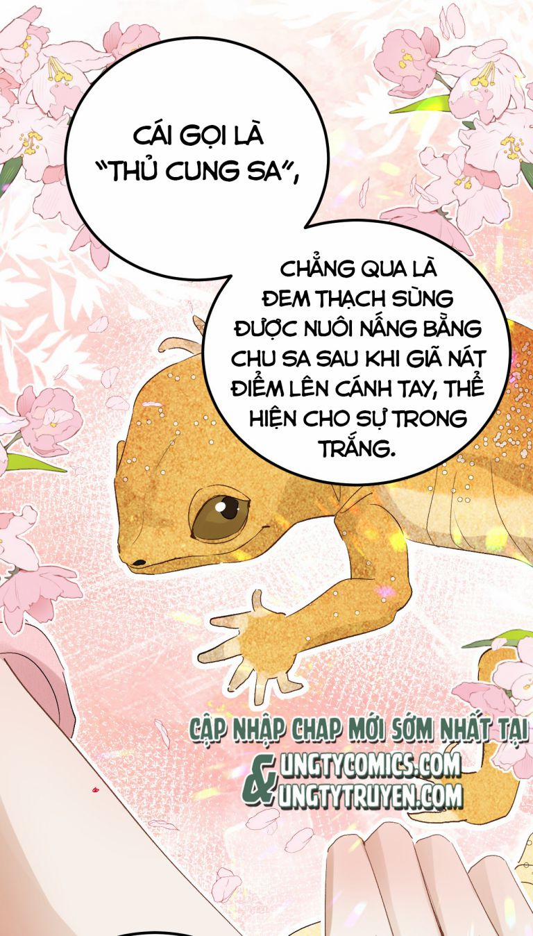 Vương Phi Này Là Nam Nhân 30 trang 7