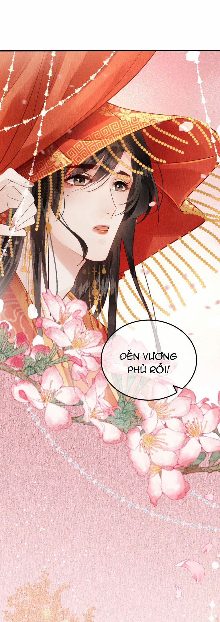 Vương Phi Này Là Nam Nhân 4 trang 11