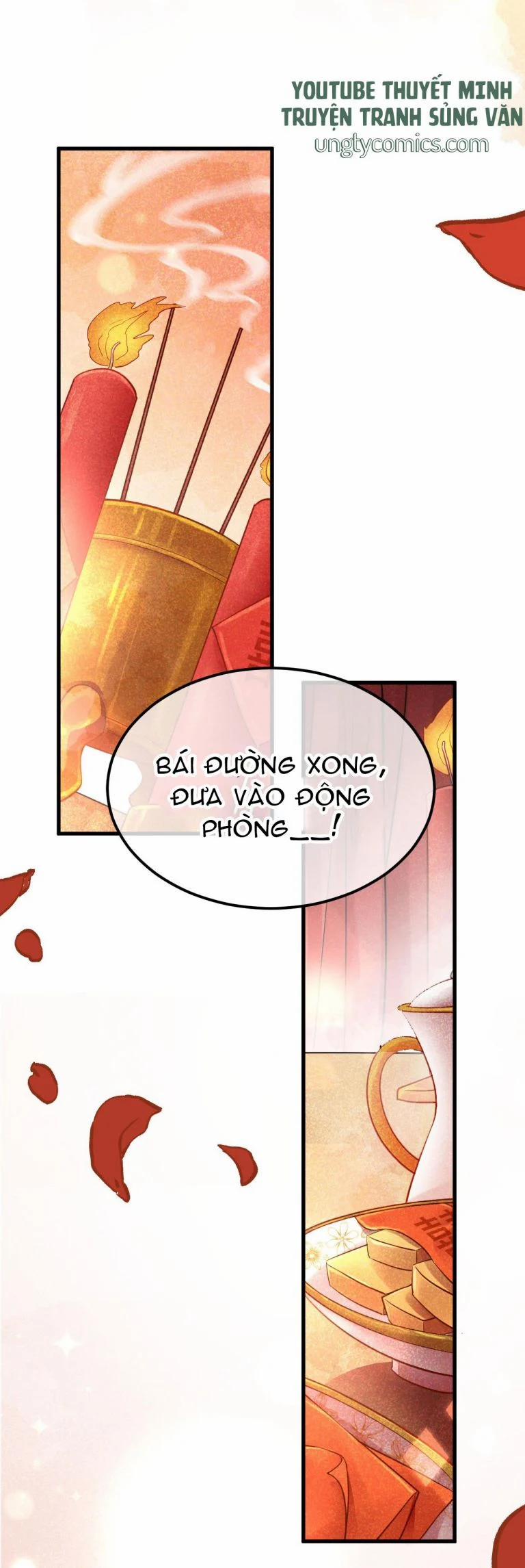 Vương Phi Này Là Nam Nhân 4 trang 21