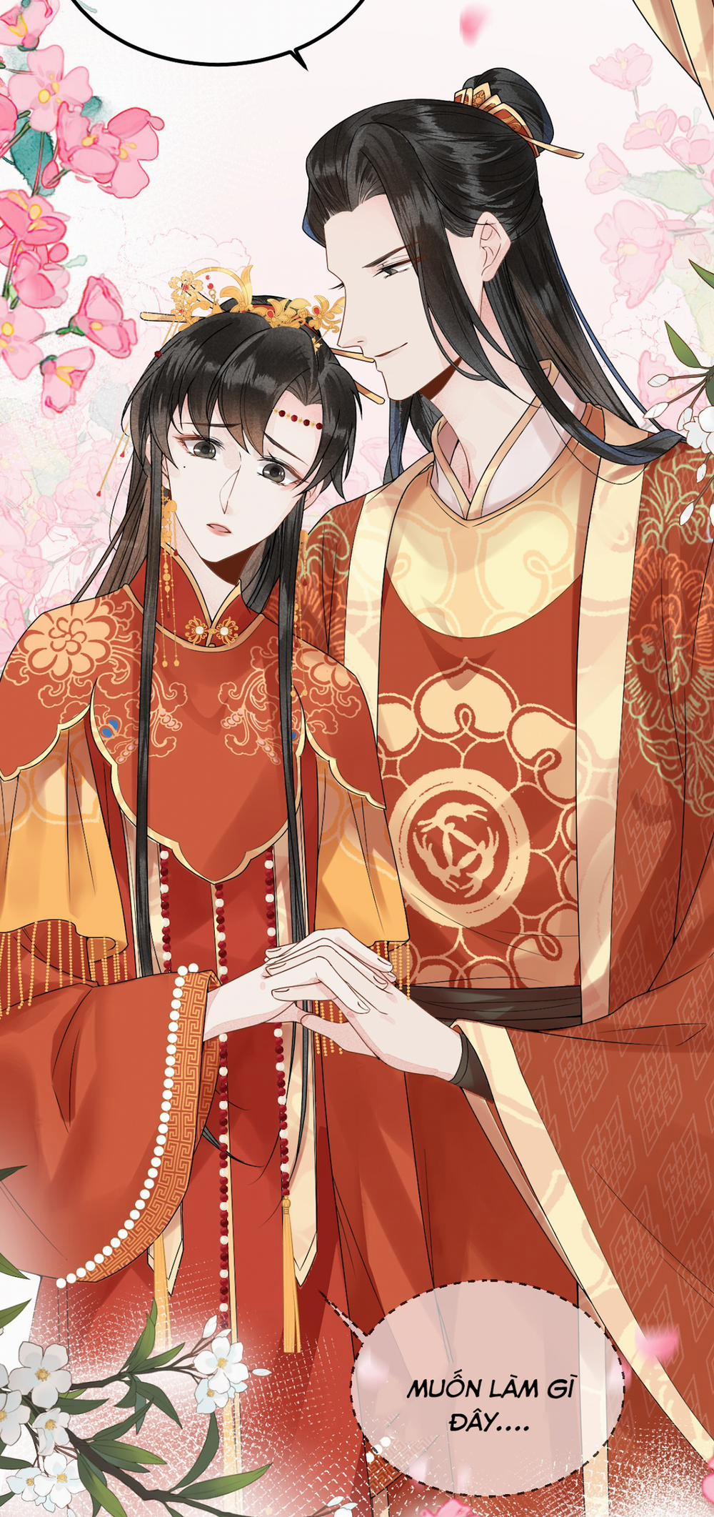 Vương Phi Này Là Nam Nhân 6 trang 17