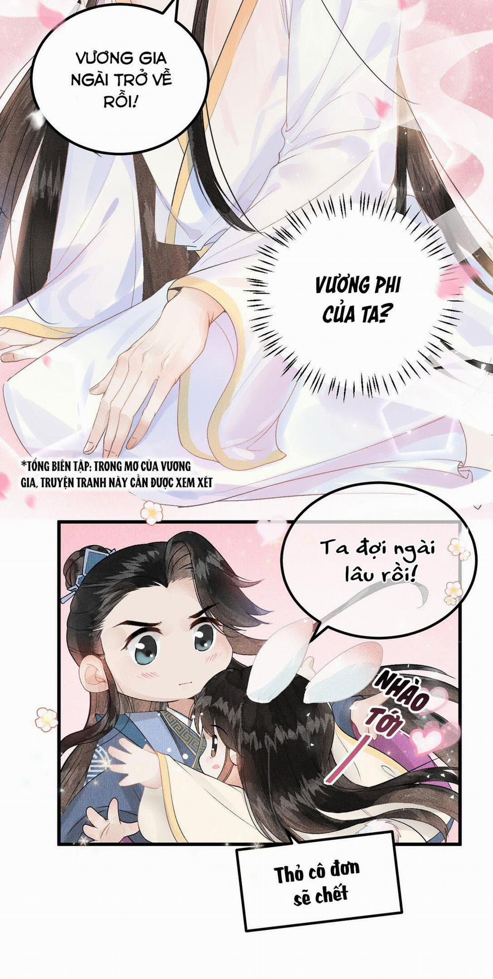 Vương Phi Này Là Nam Nhân 9 trang 43