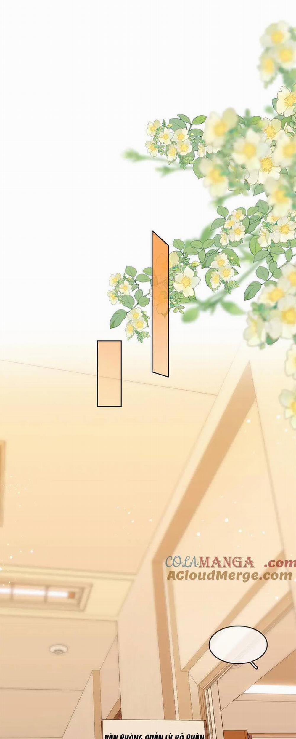 Vưu Vật 62 trang 21