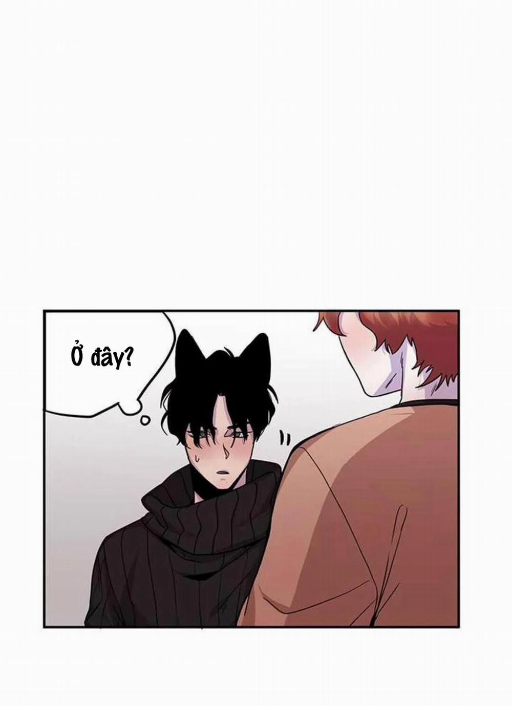 Wagging The Tail 10 trang 46