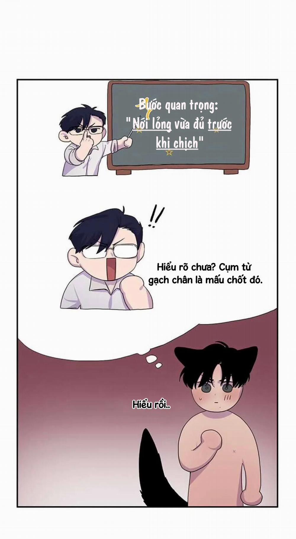 Wagging The Tail 11 trang 19