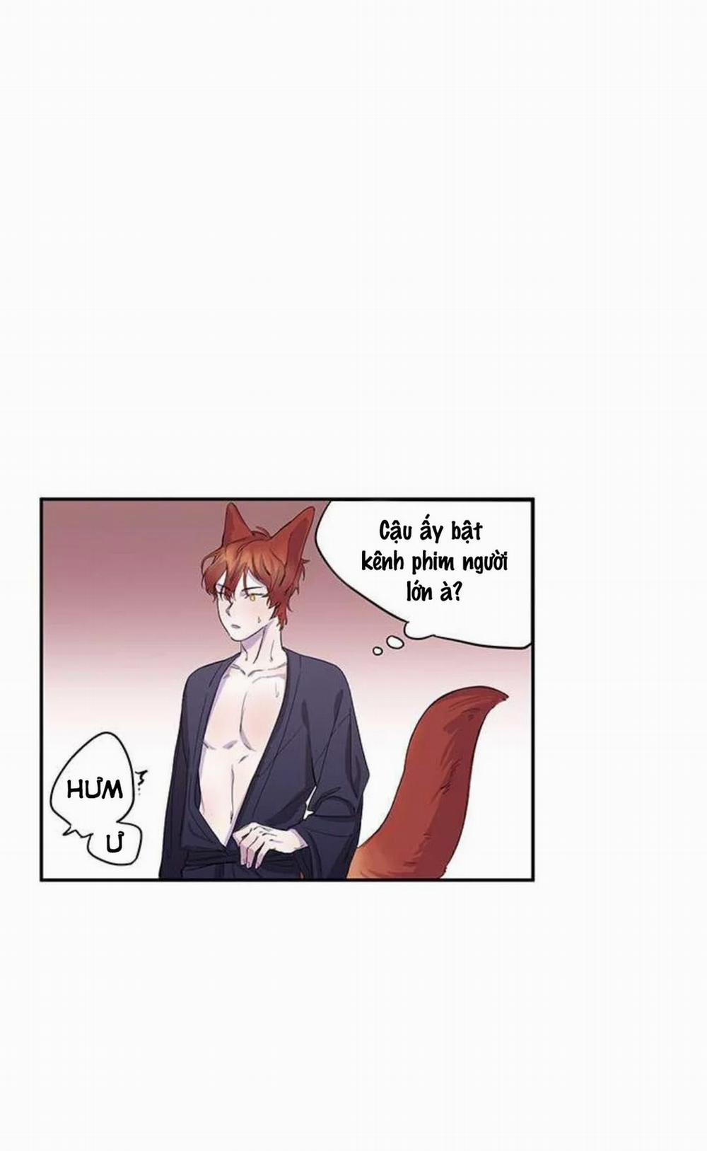 Wagging The Tail 11 trang 31