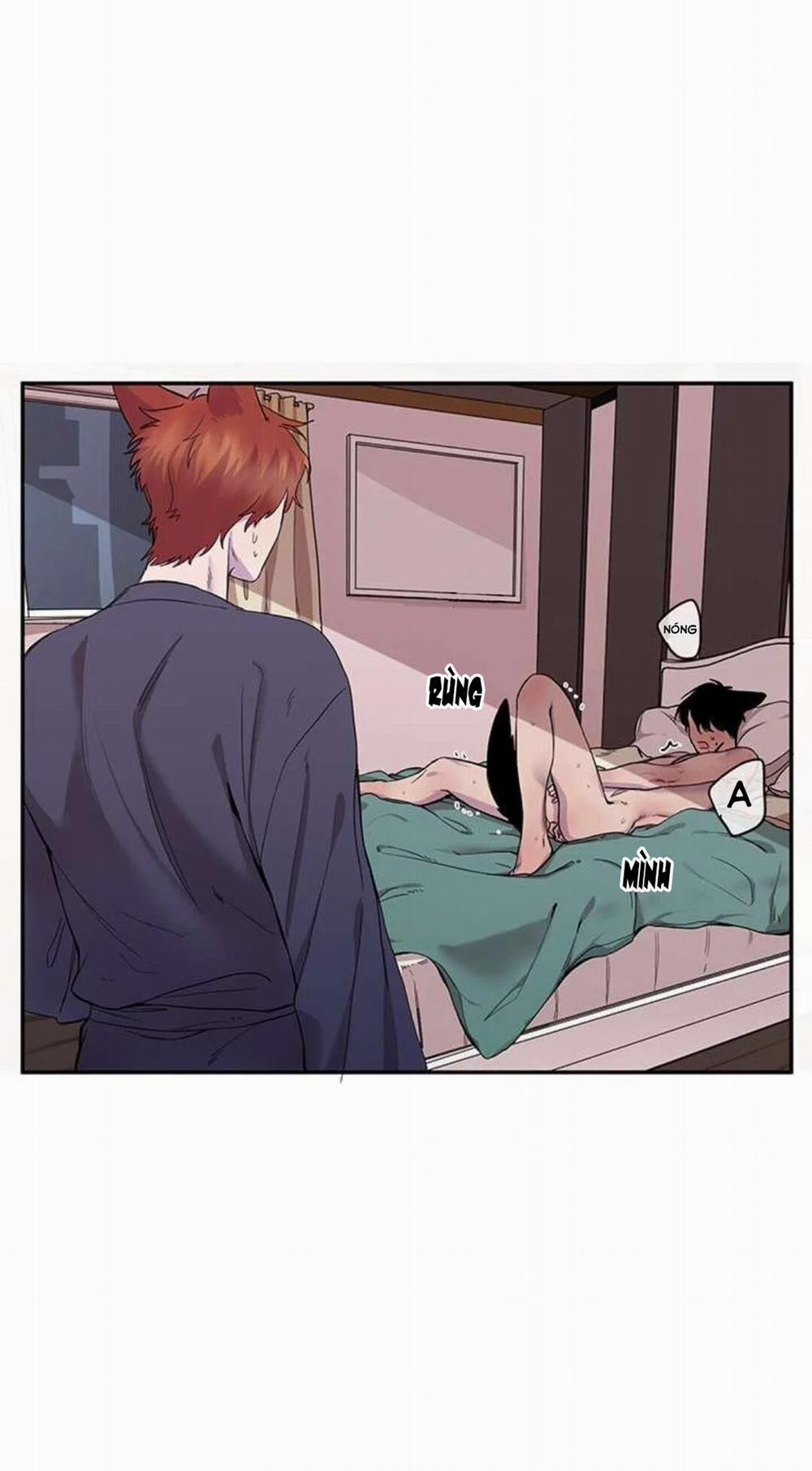 Wagging The Tail 11 trang 36