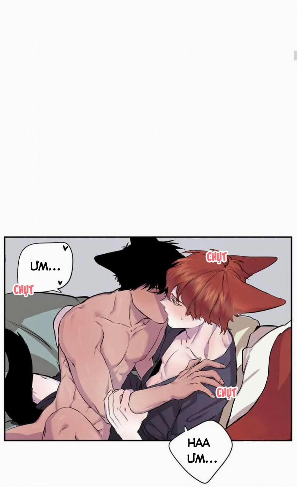 Wagging The Tail 12 trang 13