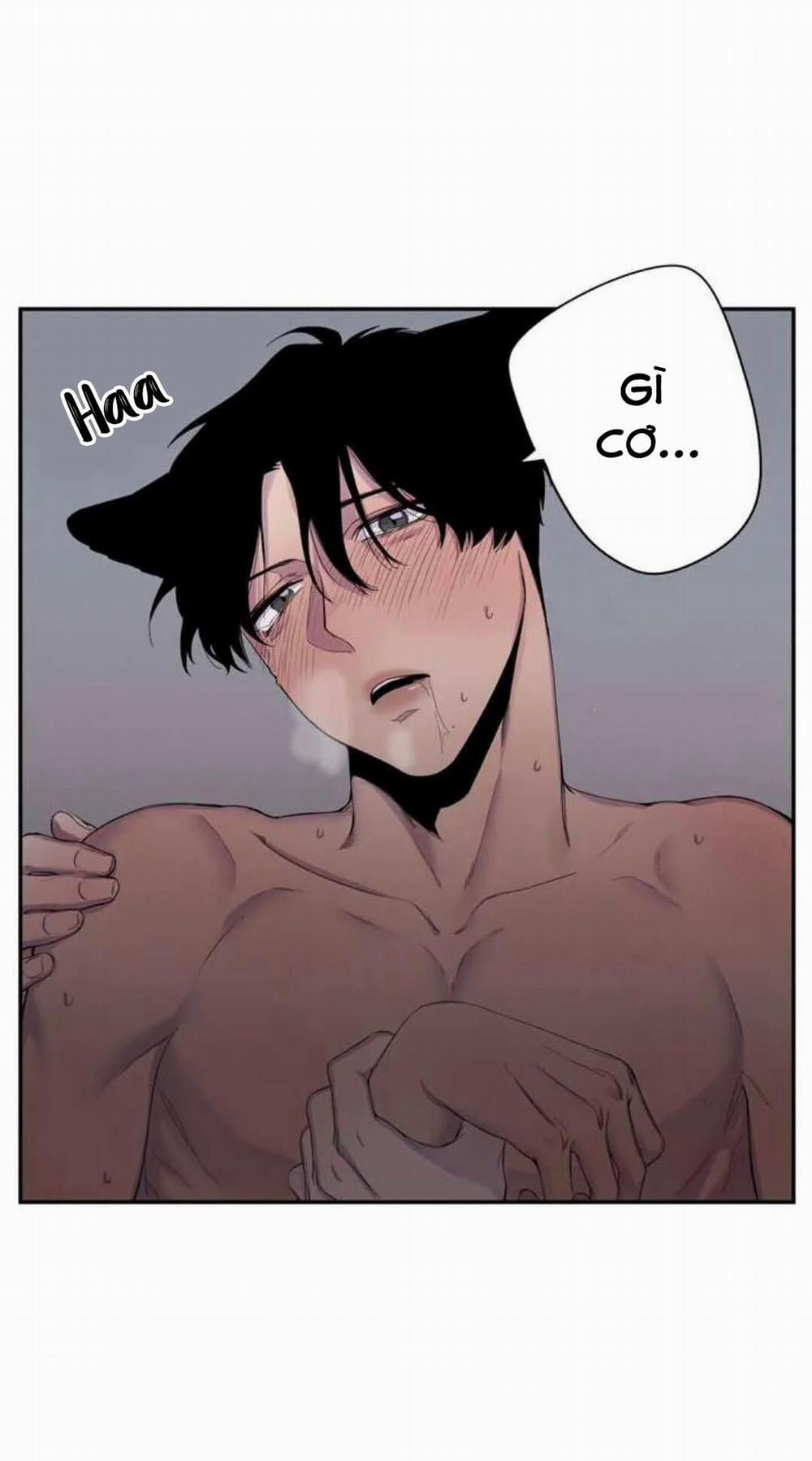 Wagging The Tail 12 trang 3