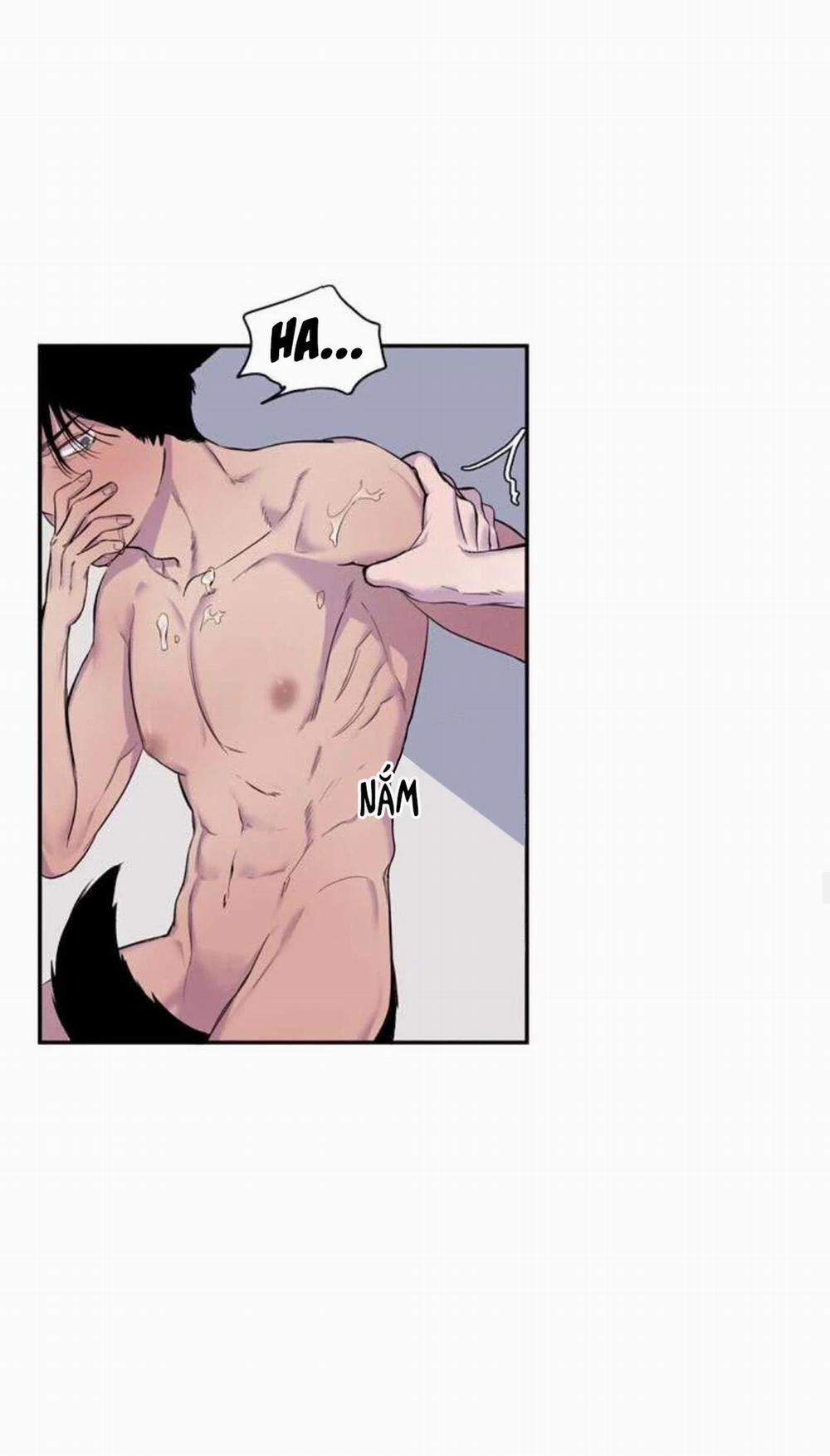 Wagging The Tail 12 trang 37