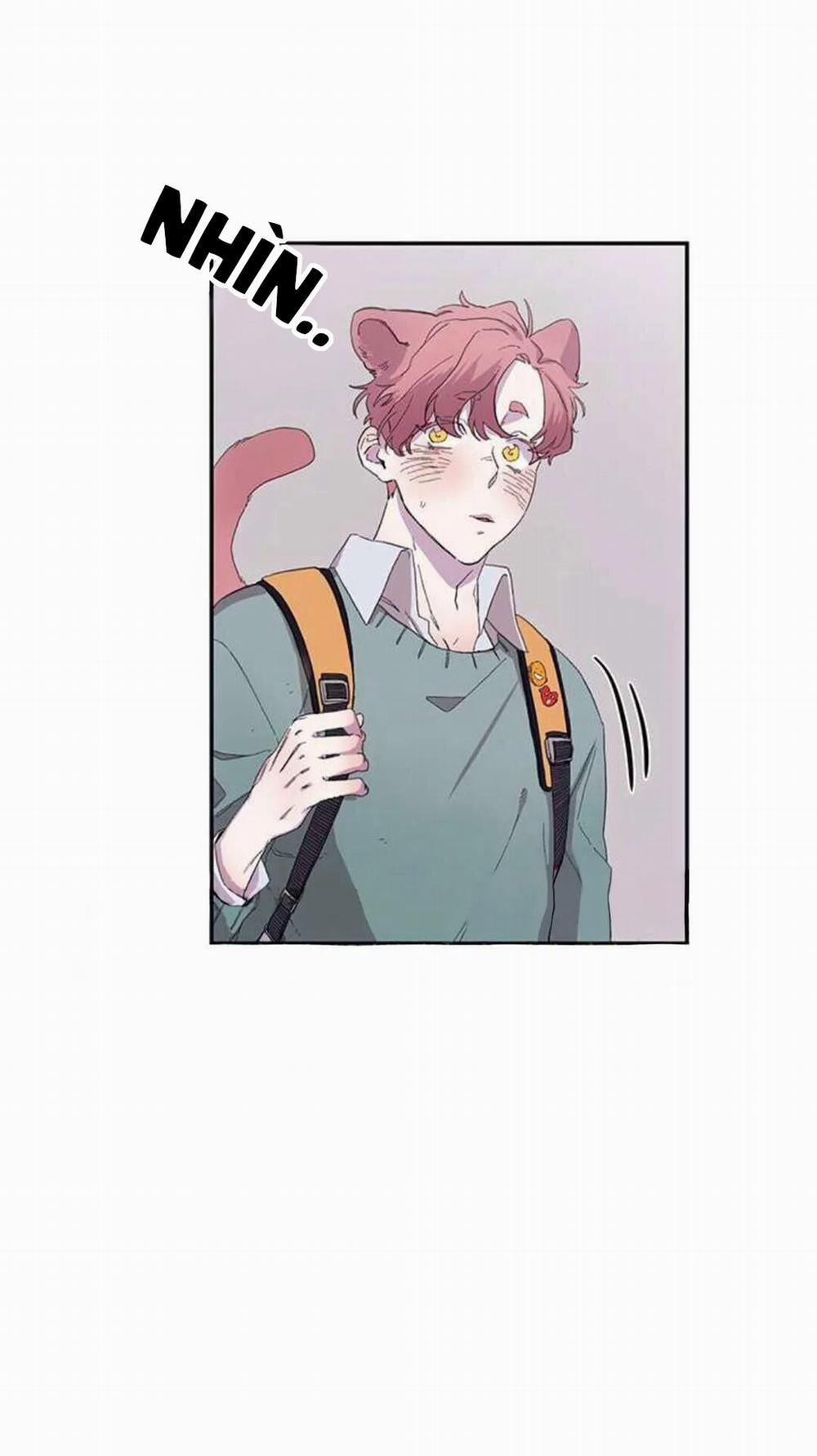 Wagging The Tail 14 trang 26