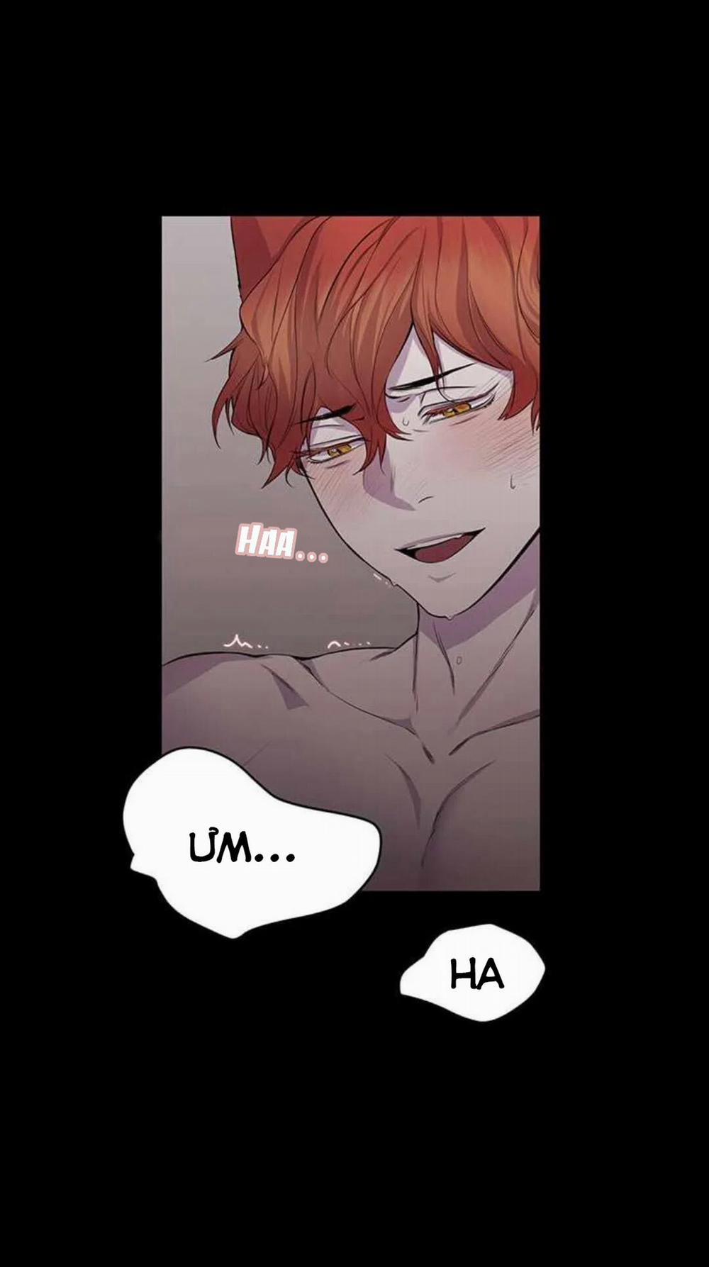 Wagging The Tail 14 trang 8