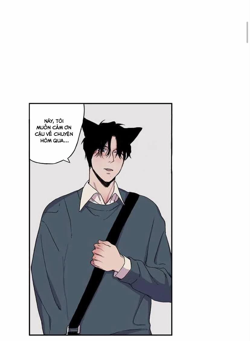 Wagging The Tail 15 trang 12