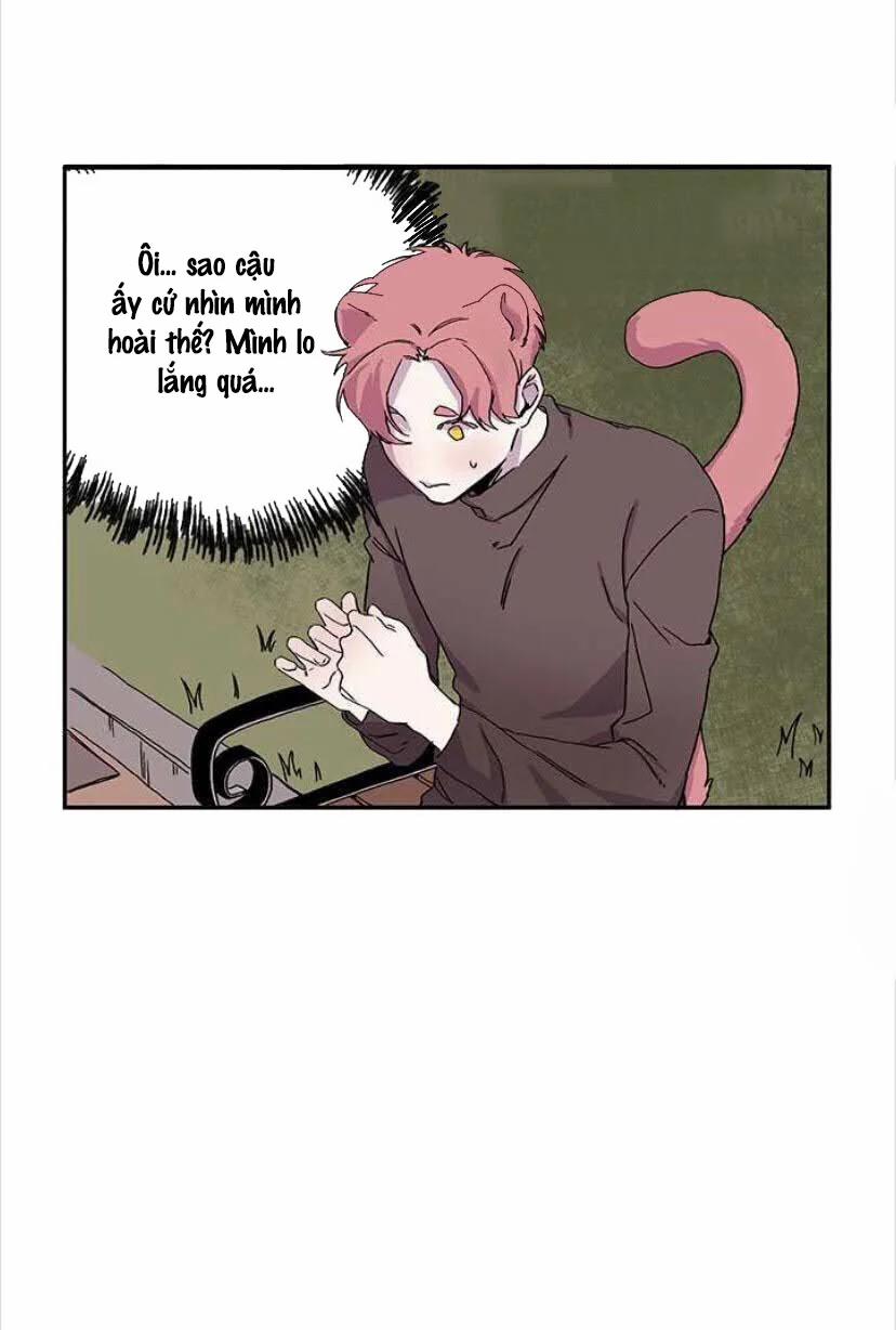 Wagging The Tail 15 trang 31