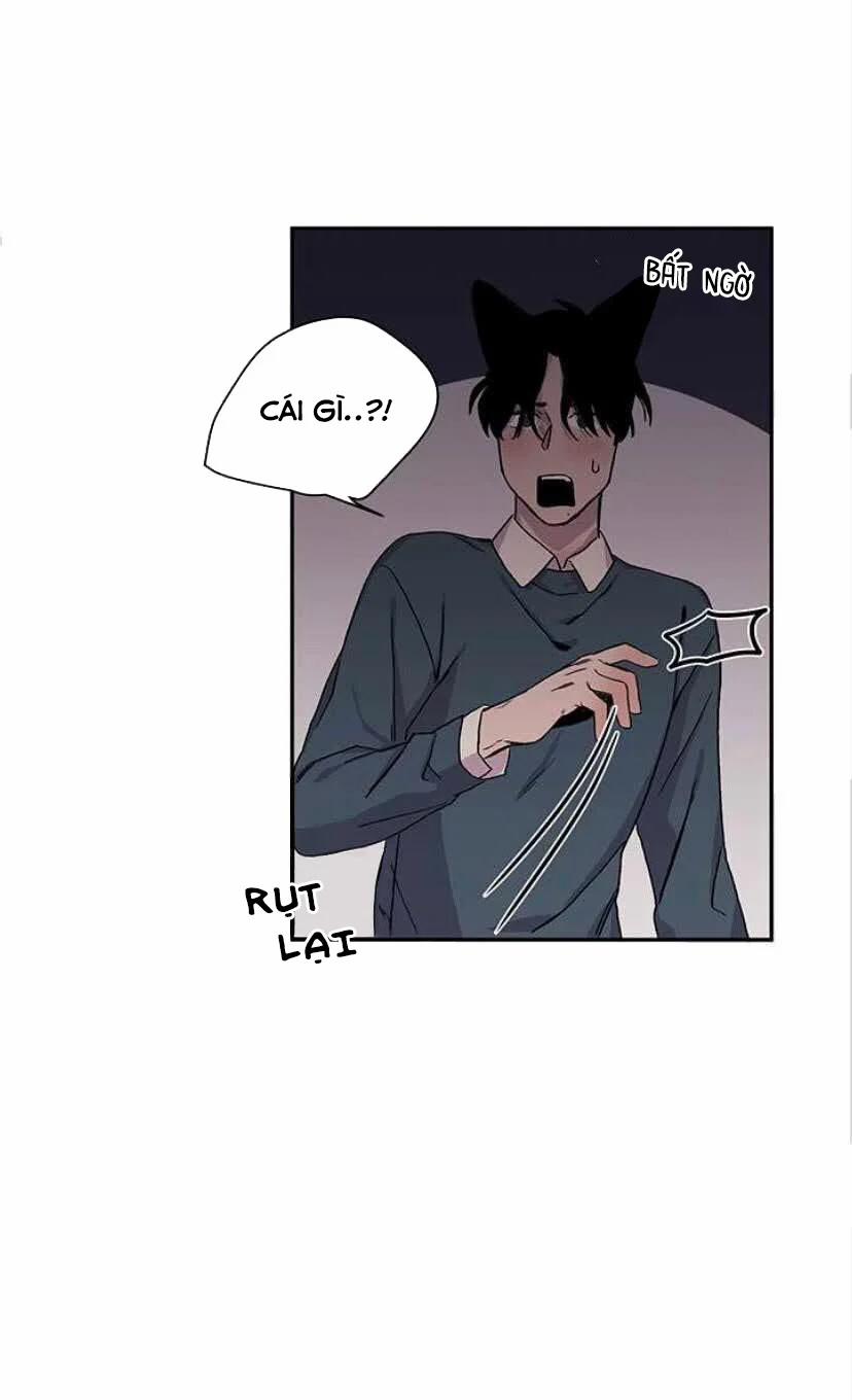 Wagging The Tail 15 trang 43