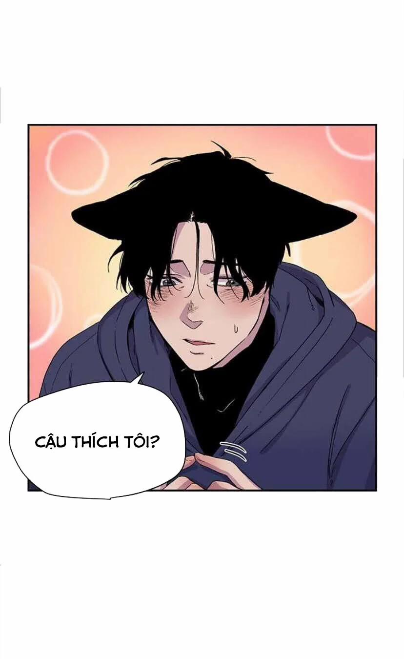 Wagging The Tail 15 trang 7