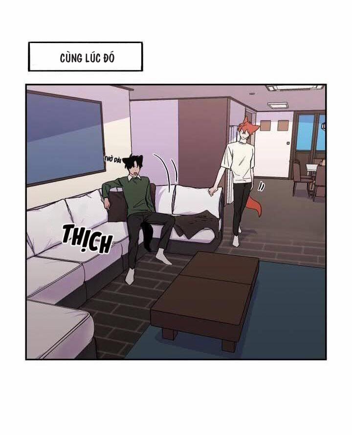 Wagging The Tail 16 trang 42