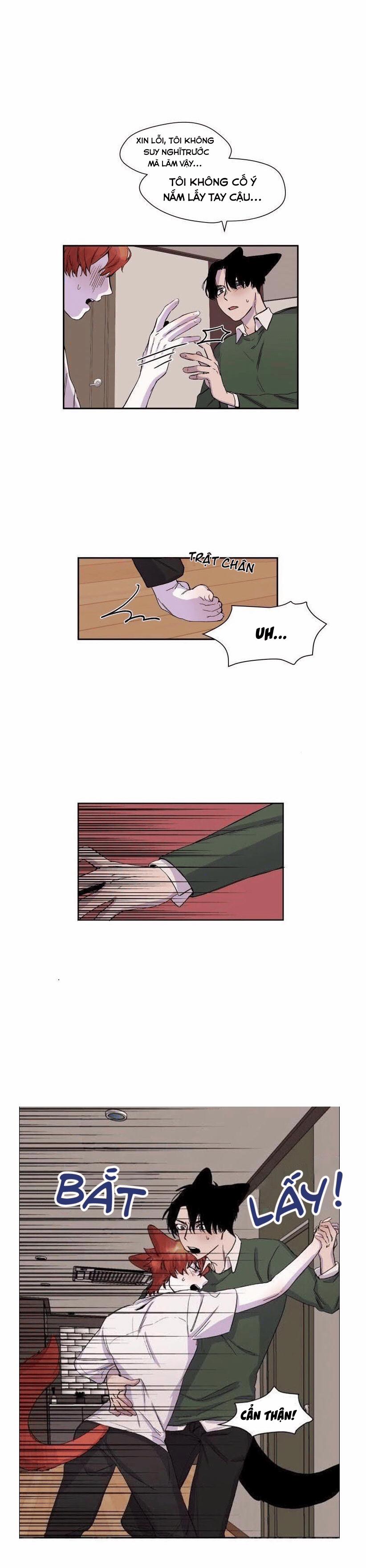 Wagging The Tail 17 trang 11