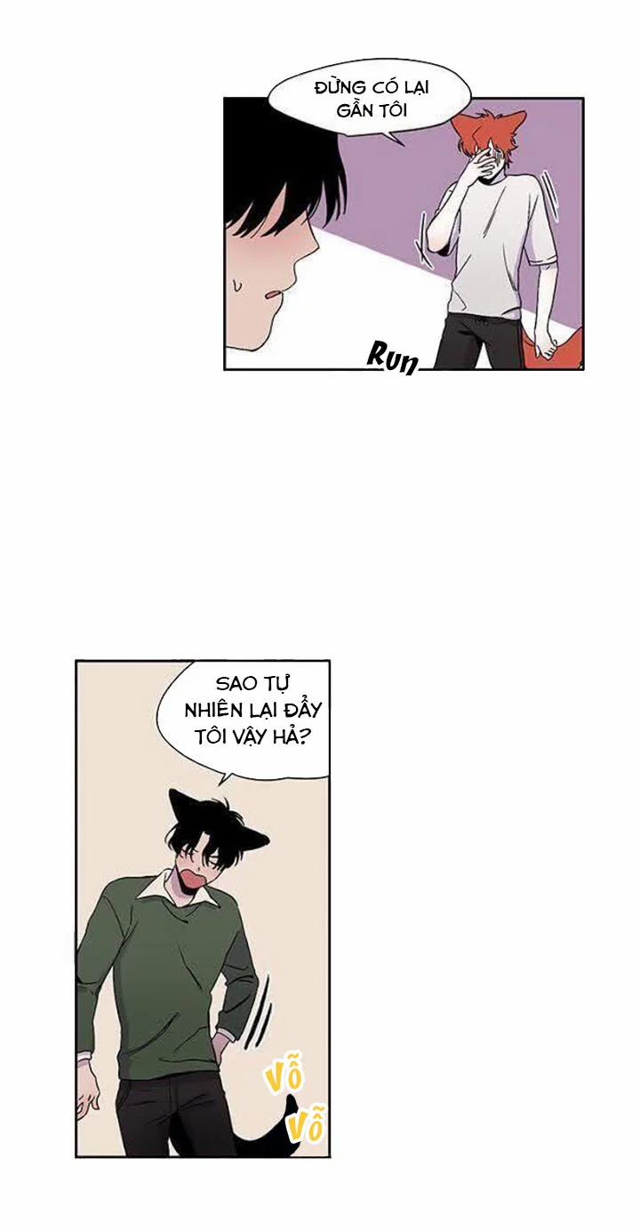 Wagging The Tail 18 trang 19