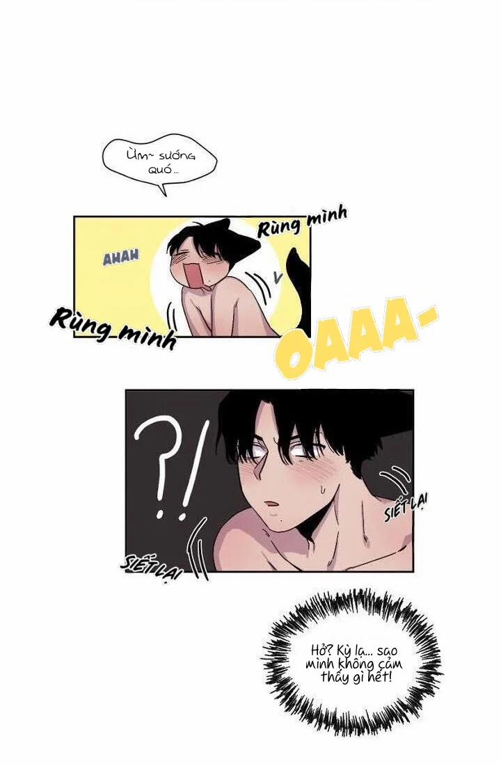 Wagging The Tail 19 trang 43