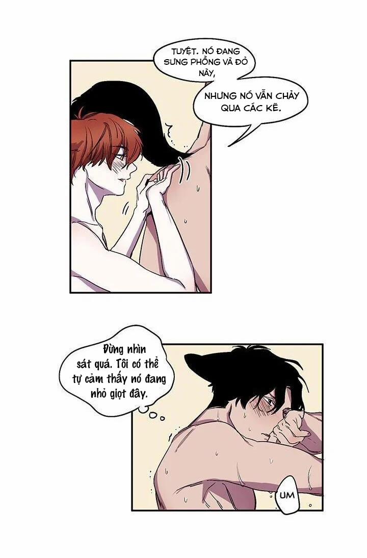 Wagging The Tail 20 trang 14