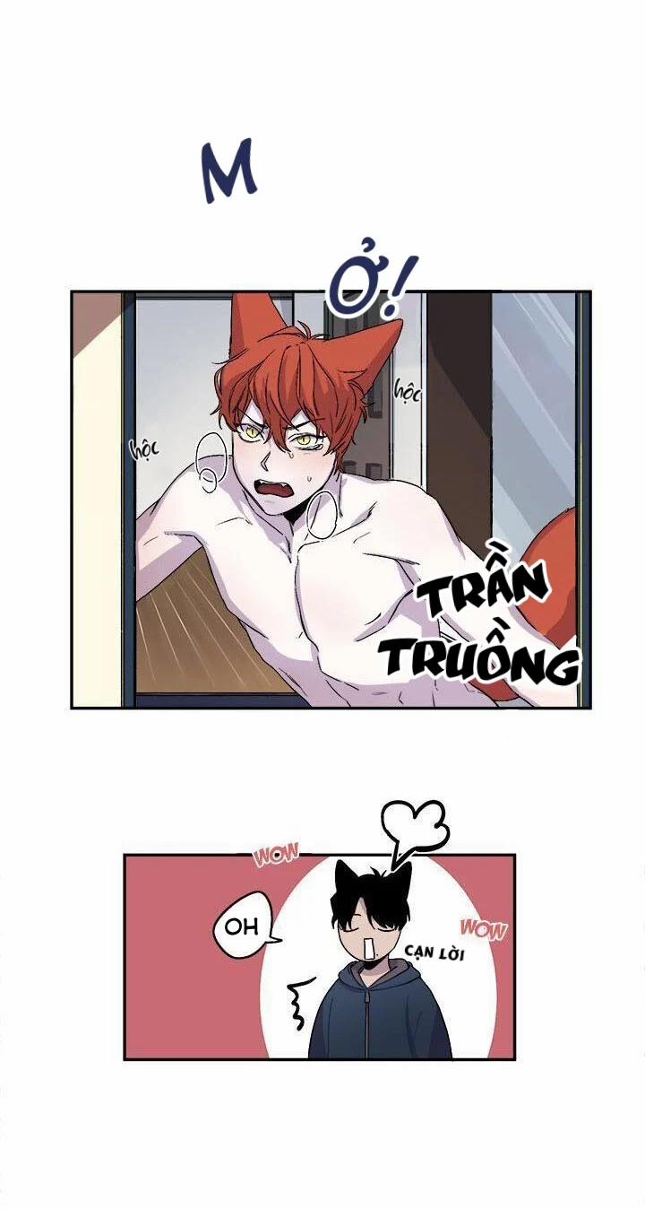 Wagging The Tail 21 trang 6