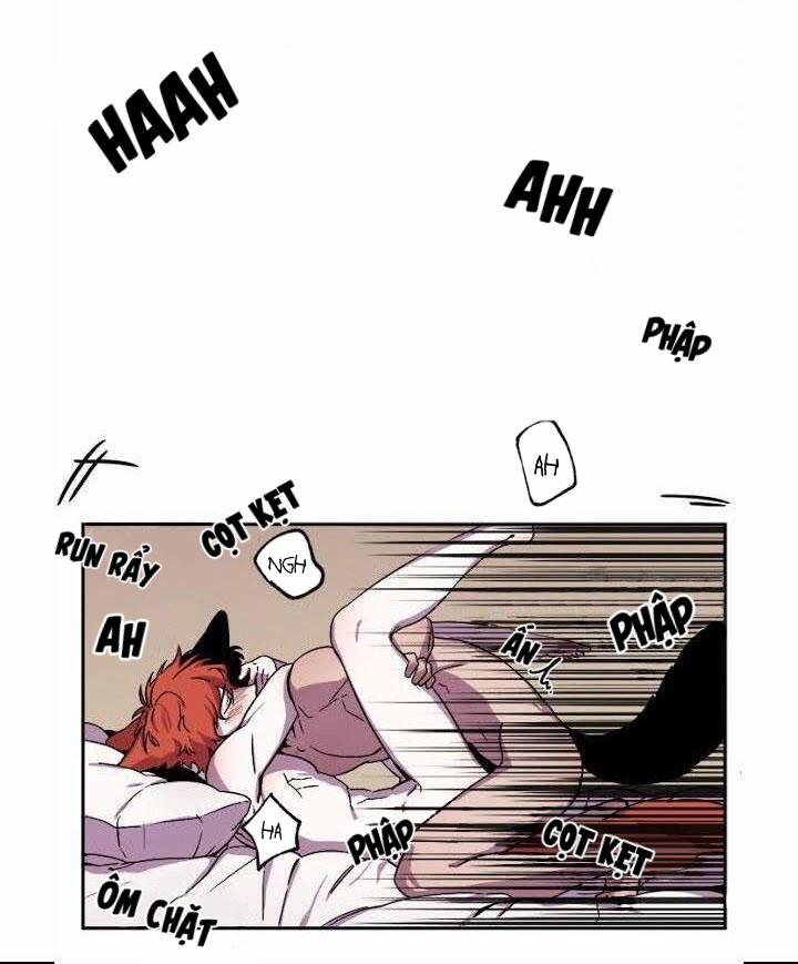 Wagging The Tail 25 trang 41