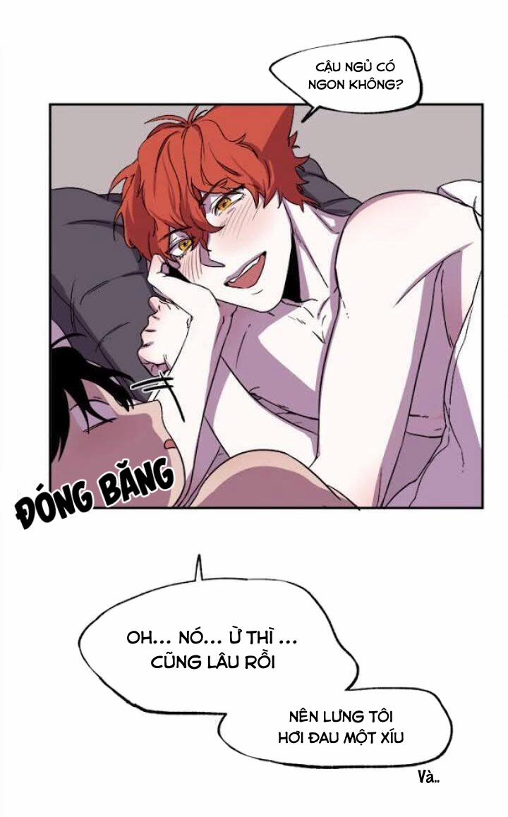 Wagging The Tail 25 trang 52