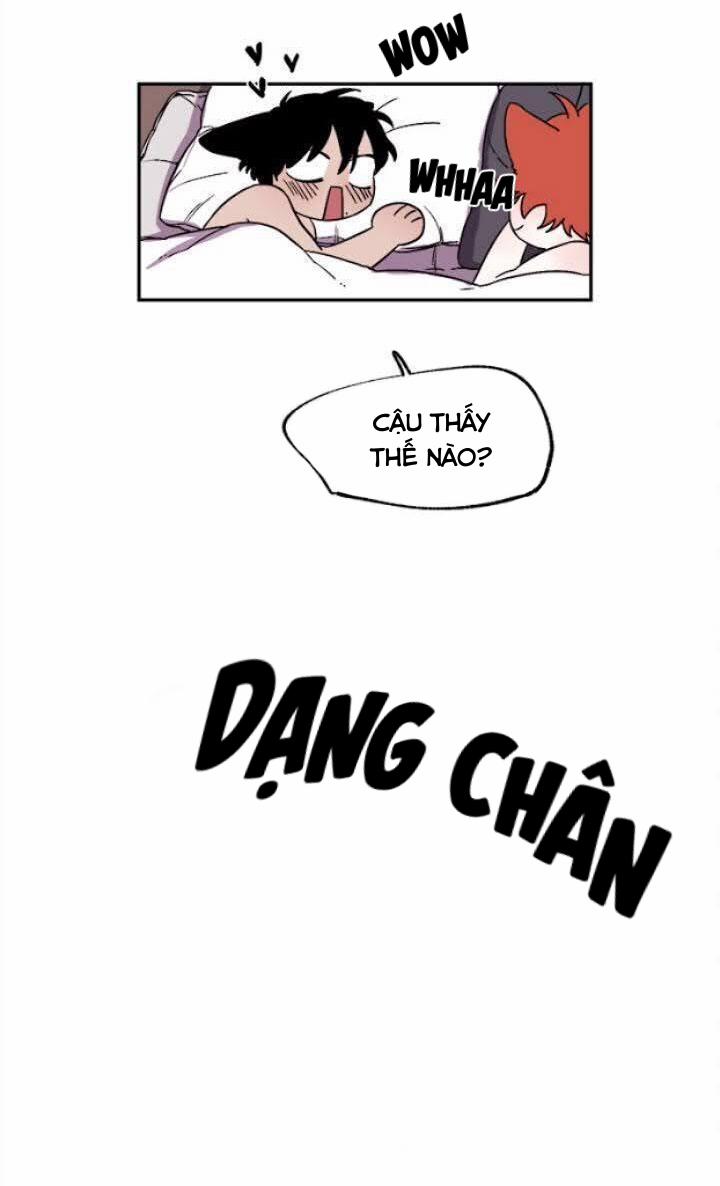 Wagging The Tail 25 trang 53