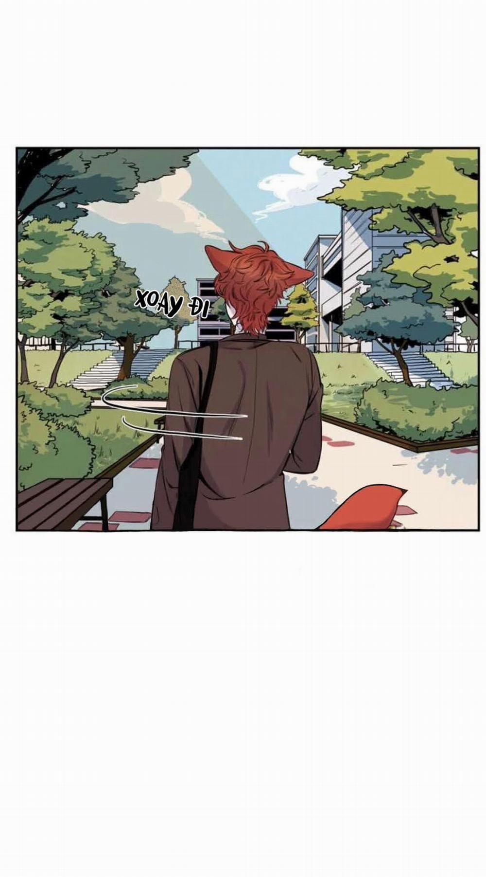 Wagging The Tail 6 trang 12