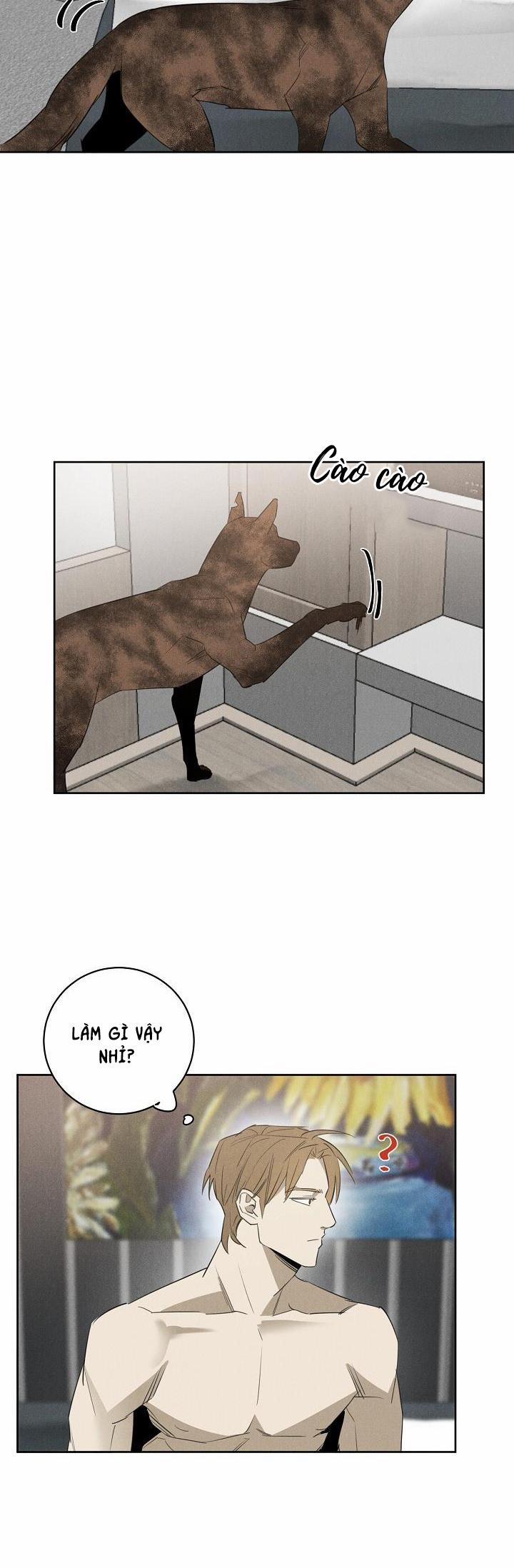 Wander off (Lang Thang) 10 trang 3